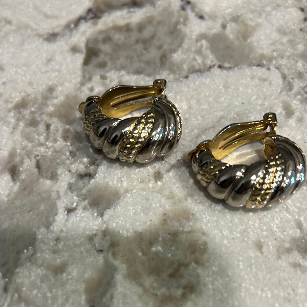Elegant Gold and Silver Hoop Earrings